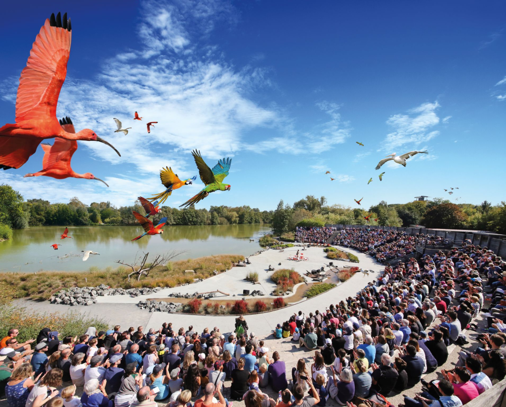 Photo d'un spectacle d'oiseaux en plein vol, au dessus des gradins remplis de spectateurs, en face d'une scène et d'un lac se trouvant encore derrière.